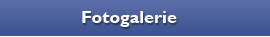 Fotogalerie